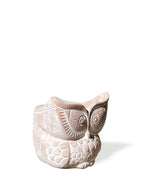 Small Terracotta Pot - Big Eye Owl - Qu!rk Boutique