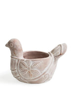 Terracotta Pot - Spotted Dove - Qu!rk Boutique