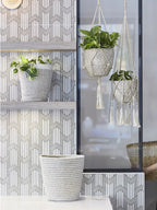 Agora Bin - Qu!rk Boutique
