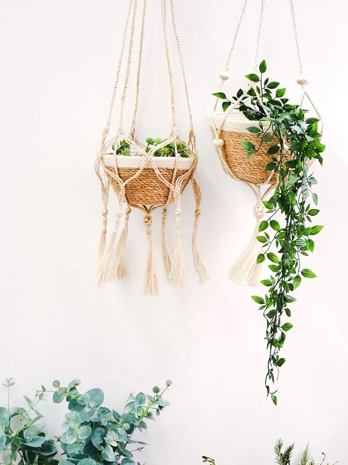 Set of three woven hanging plant baskets with green foliage, displayed on a white wall, Qu!rk Boutique