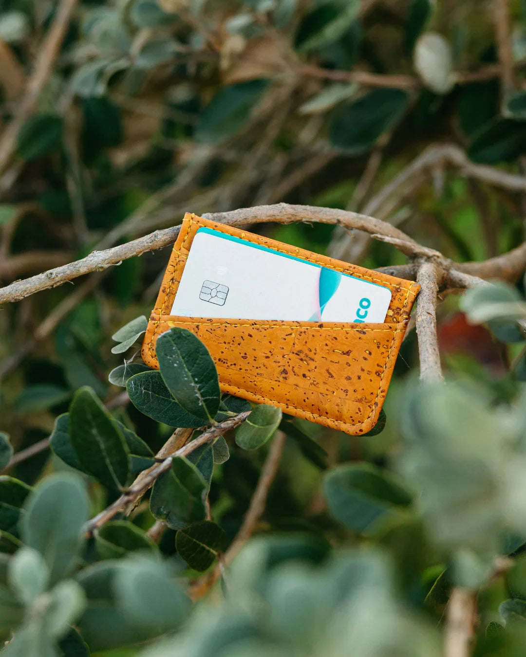 Eco-friendly yellow cork cardholder with a credit card, displayed on a leafy tree branch