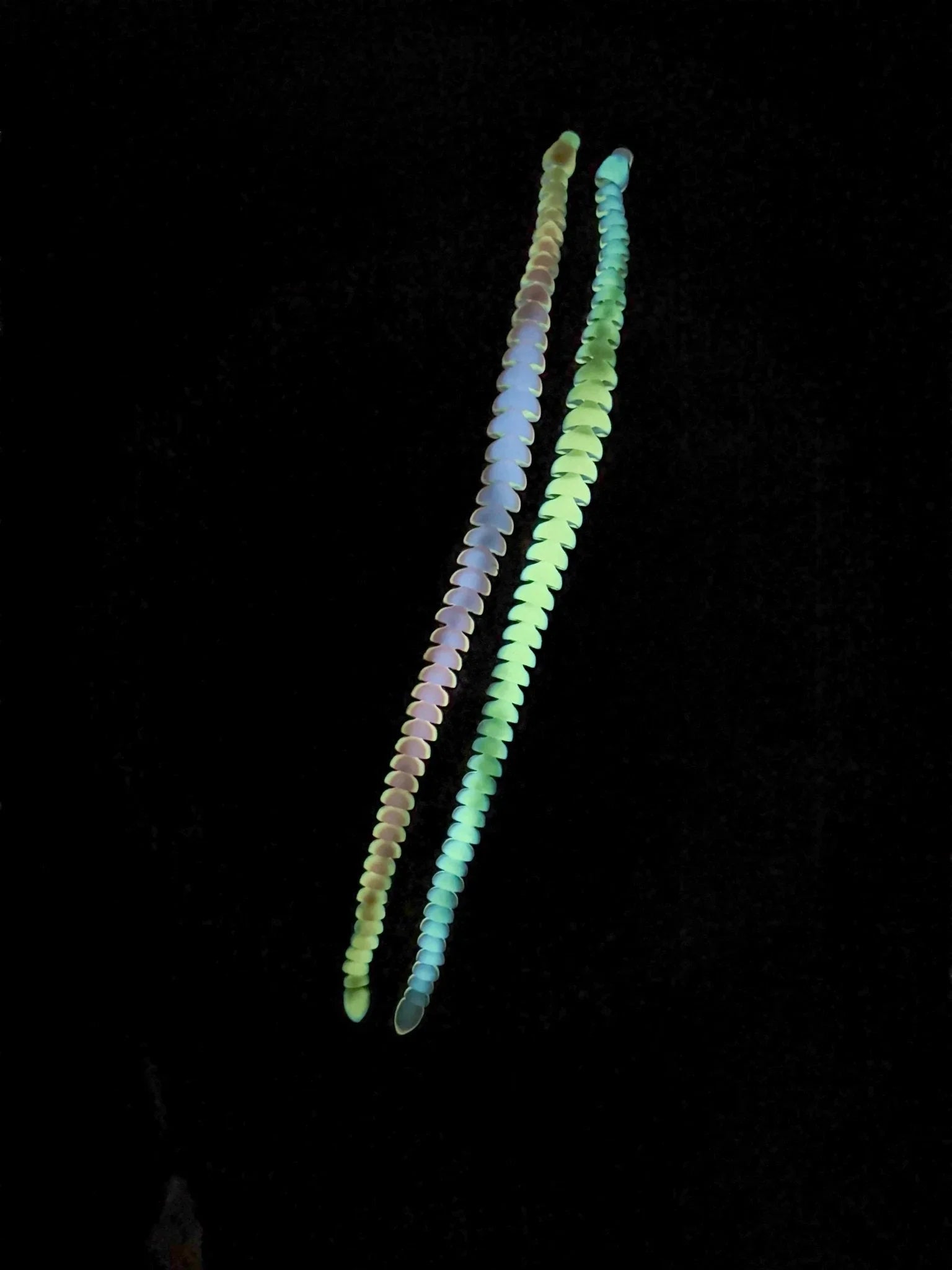 Glow-in-the-dark articulated rainbow snake fidget toy on black background, 3D printed