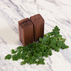 Salt & Pepper Shakers on an Acacia Wood Base - Qu!rk Boutique