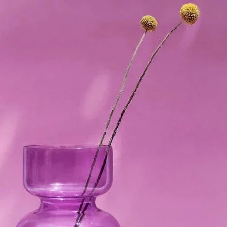 Minimalist decor with a purple glass vase and two yellow billy ball flowers on pink background