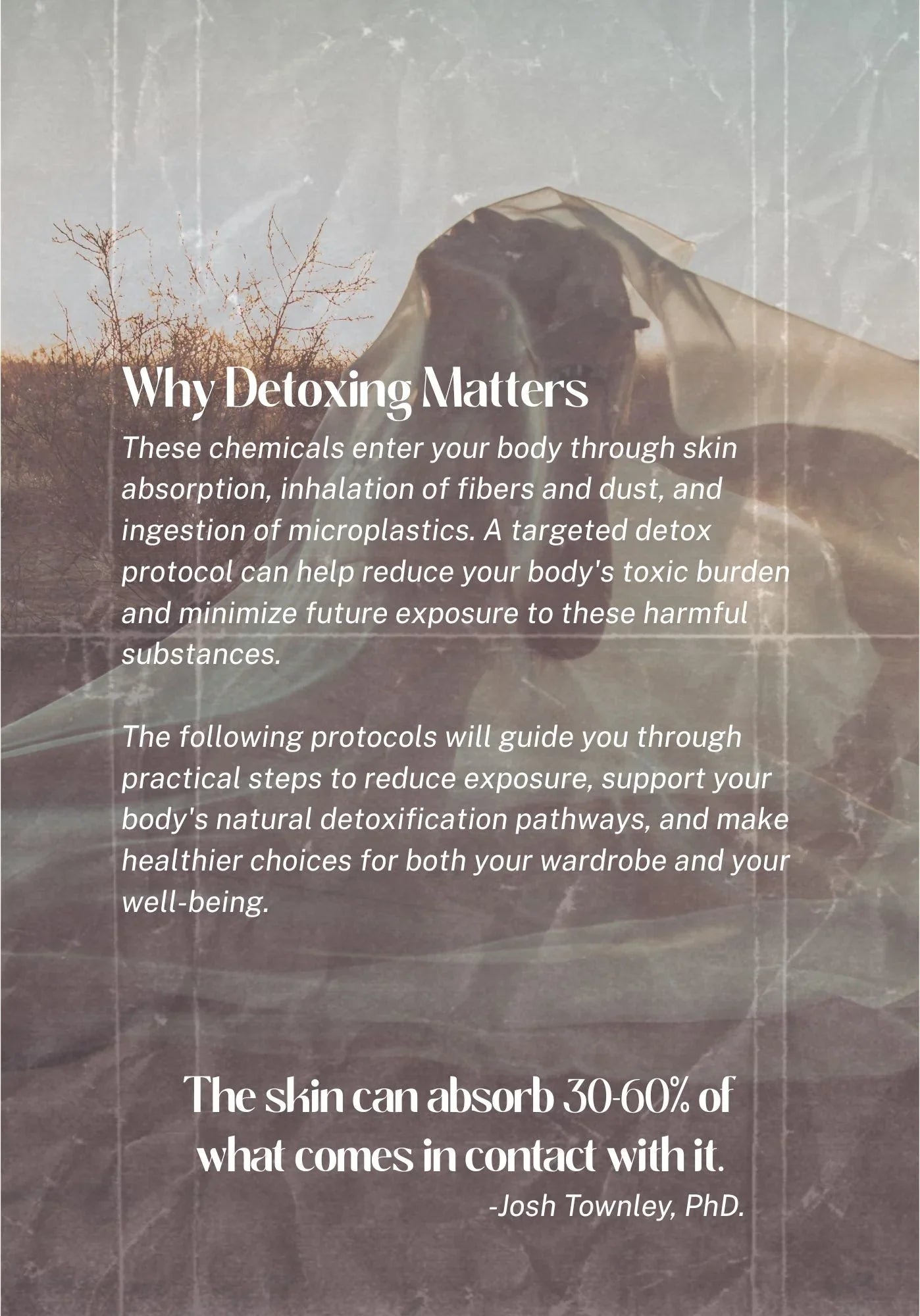 Text on detoxing and chemical absorption with a hazy outdoor background and silhouette