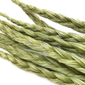Eco-friendly braided sweetgrass smudge sticks on white background, Qu!rk Boutique gift shop