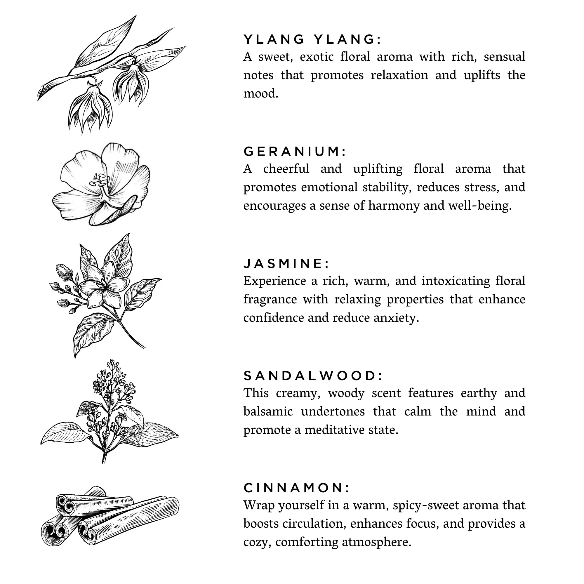 Black and white botanical sketches of ylang ylang, geranium, jasmine, sandalwood, and cinnamon with aroma descriptions