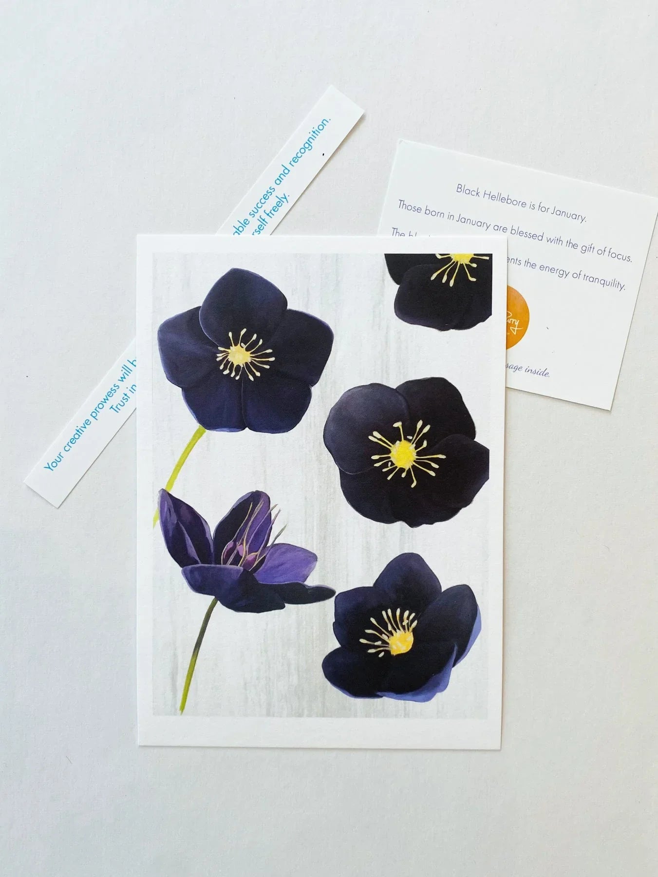 Art print featuring detailed black hellebore flowers with yellow centers on a light background