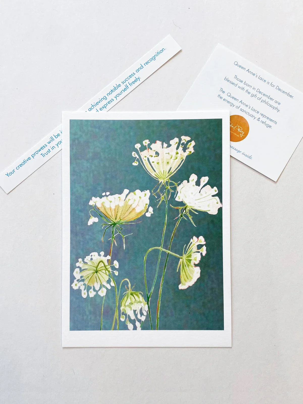 Queen Anne's Lace botanical art print on blue background with informational cards about December birth flower