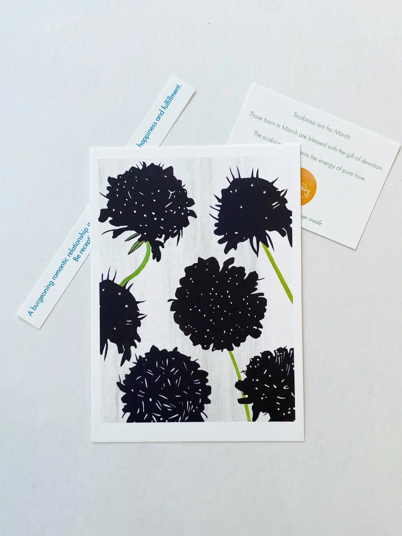Black scabiosa flower art print with green stems on white background and informational cards