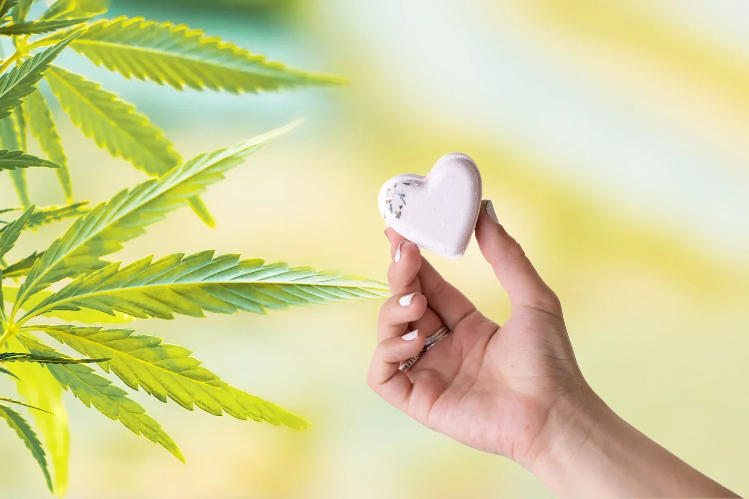 Hand holding heart-shaped lavender bath bomb near green cannabis leaves on soft gradient background