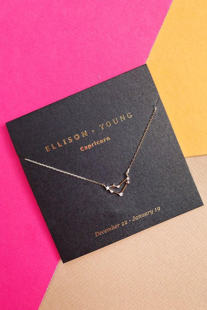 Ellison + Young Capricorn constellation necklace on black card with gold text, set on pink and yellow background