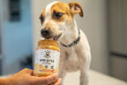 Dawg Butter Pum'kin Puppers Flavor - Qu!rk Boutique