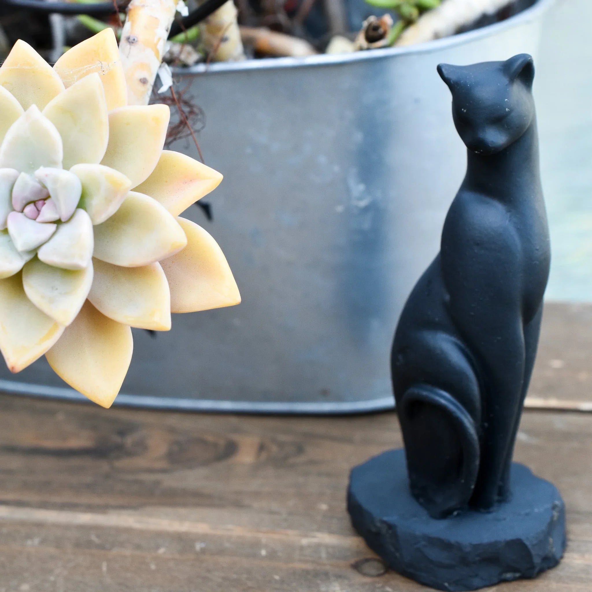 Black cat figurine and succulent plant on rustic wood at Qu!rk Boutique & Gift Shop