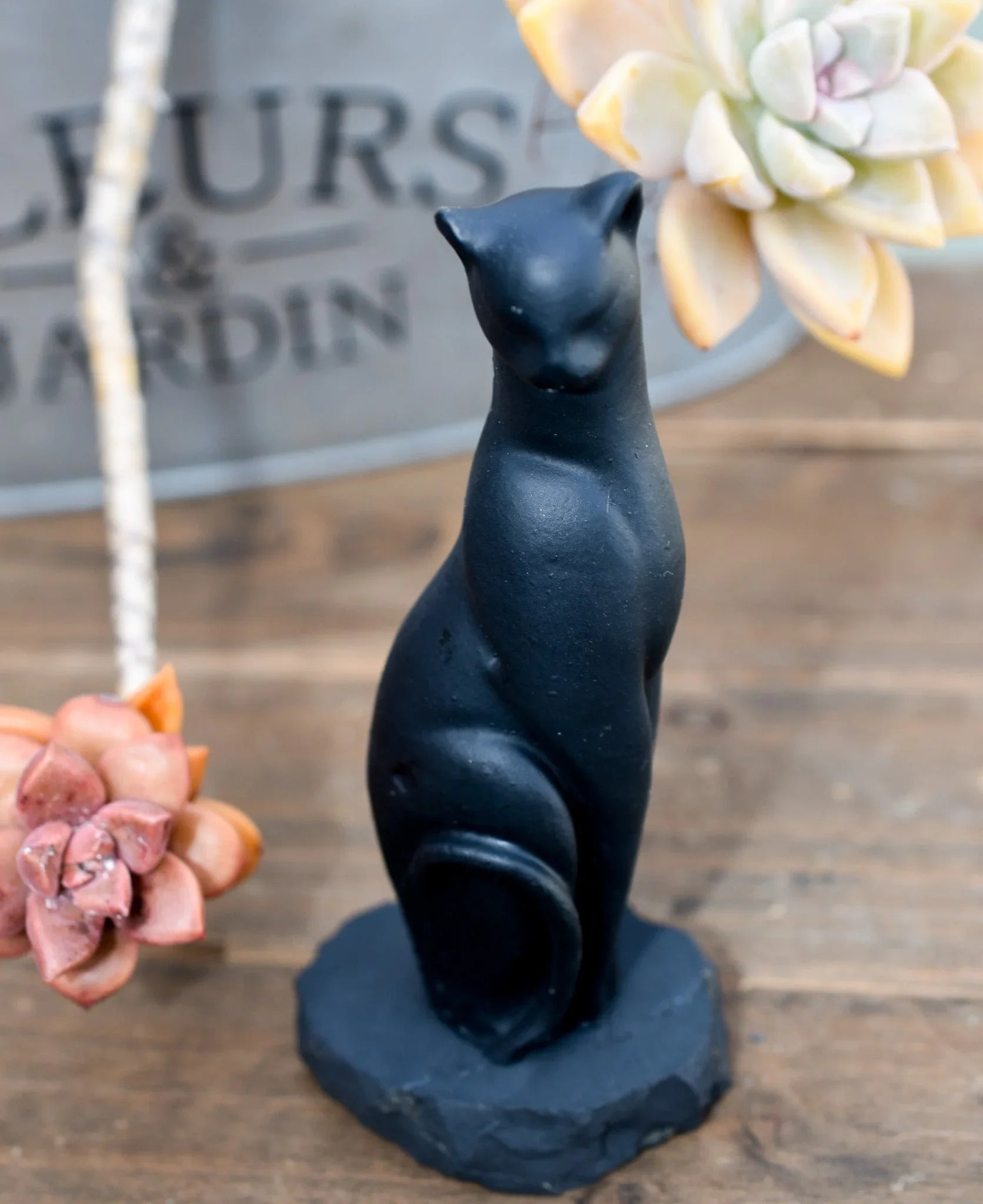 Black cat sculpture on wood table with succulents, boutique decor at Qu!rk Gift Shop