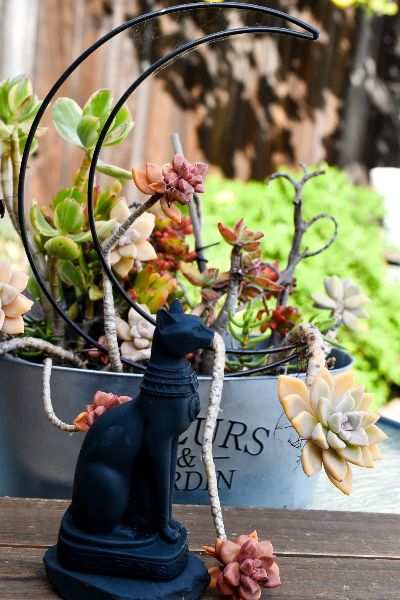 Black cat goddess statue with crescent moon, surrounded by succulents in a metal garden pot