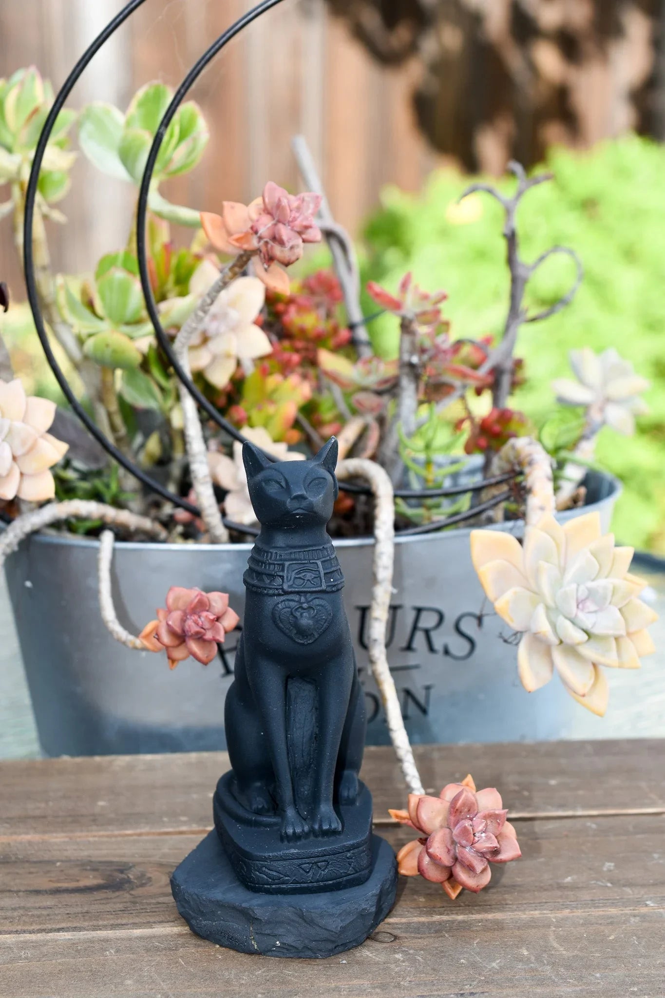 Black Egyptian cat statue decor with garden succulents in metal pot, Qu!rk Boutique gift