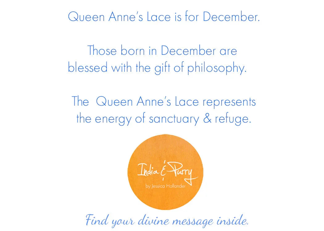Text about December's birth flower Queen Anne's Lace symbolizing philosophy, sanctuary, and refuge.