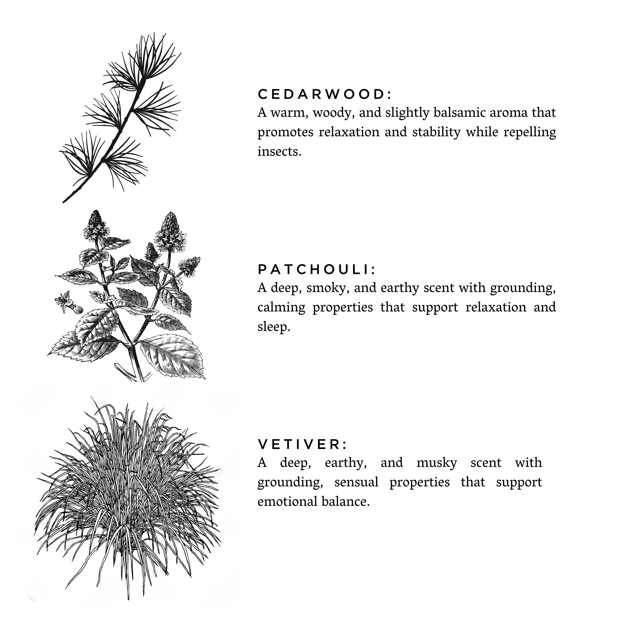 Illustrations of cedarwood, patchouli, and vetiver plants with descriptions of their calming and grounding aromas.