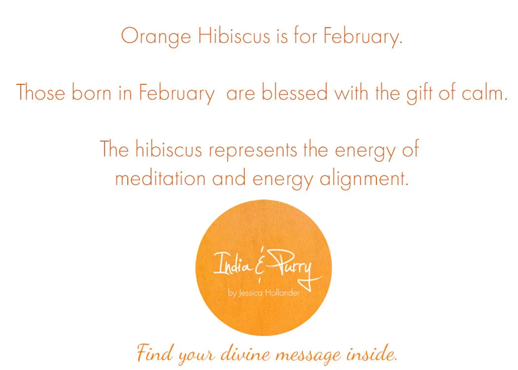 Text about February birth month flower Orange Hibiscus symbolizing calm, meditation, and energy alignment
