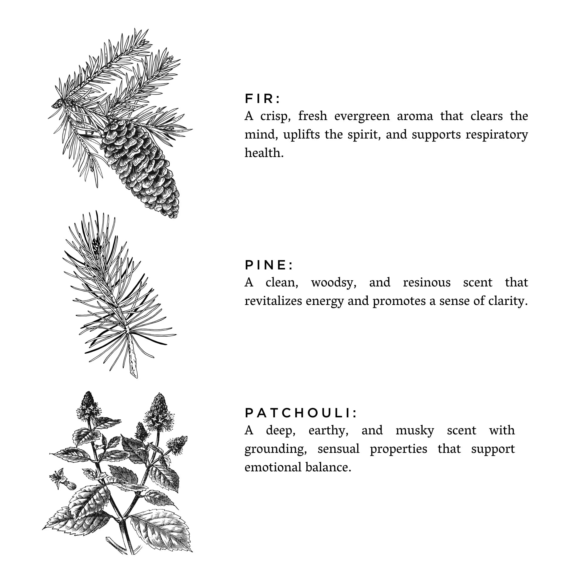 Black and white botanical illustrations of fir, pine, and patchouli with descriptions of their scents and benefits