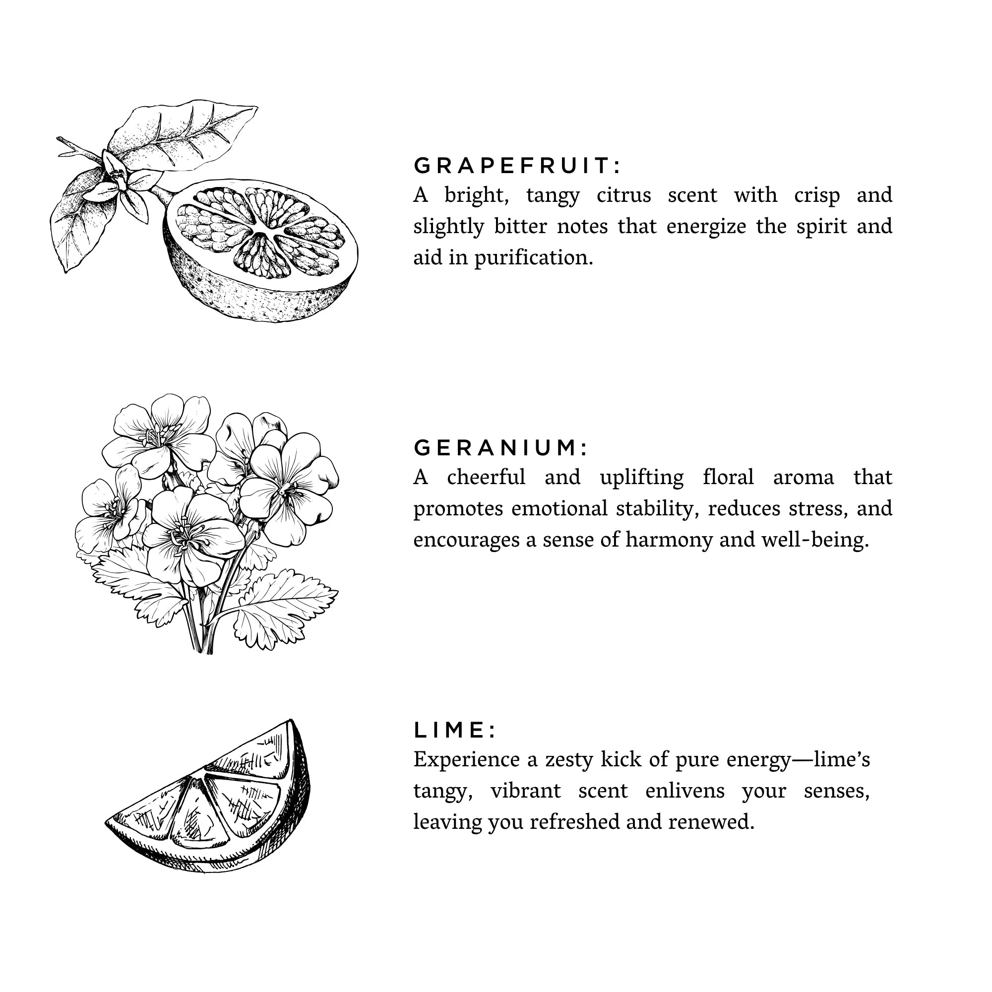 Black and white sketches of grapefruit, geranium flowers, and lime slice with descriptions of their scents and benefits