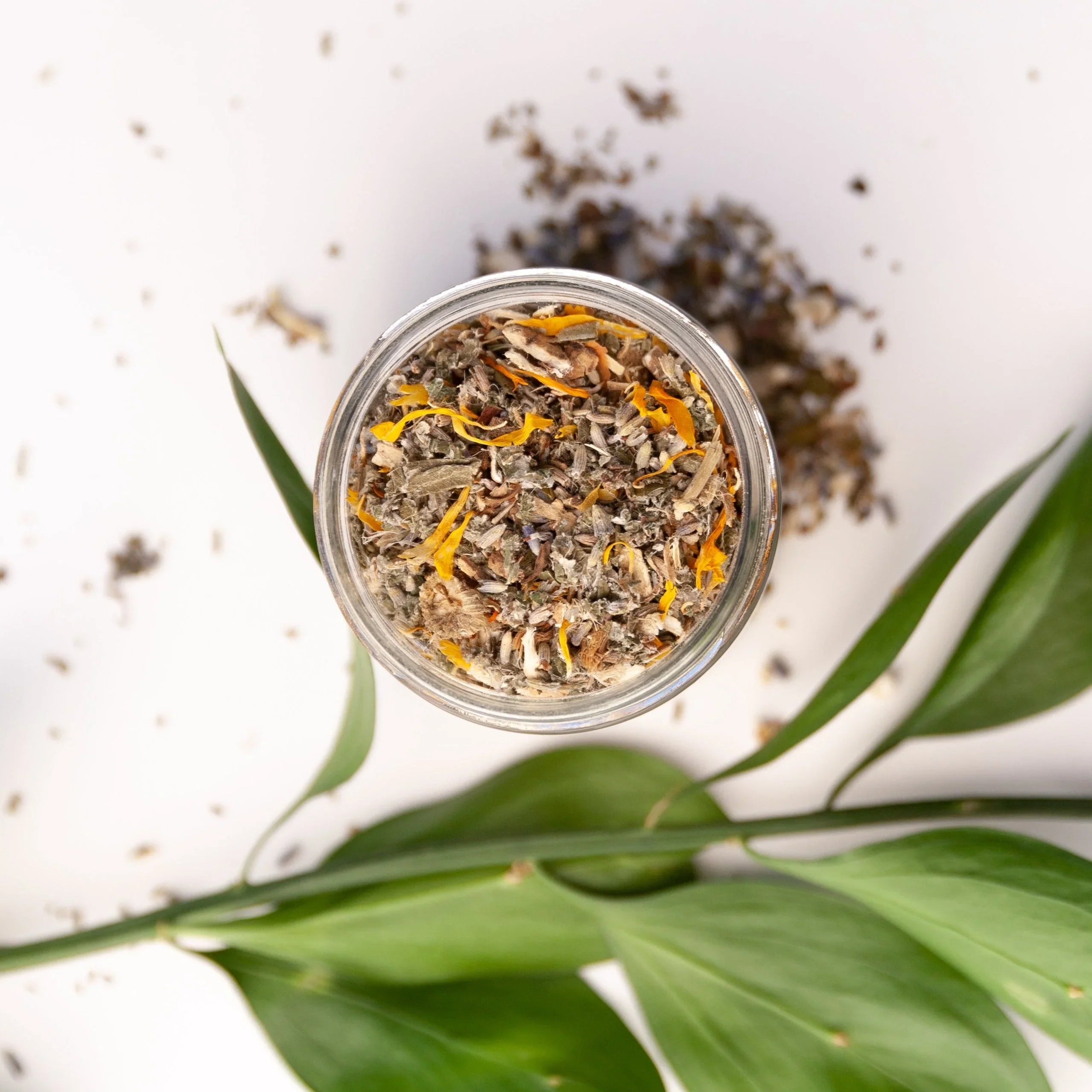 Top view of glass jar with mixed dried herbal facial steam and green leaves on white background