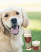 Pet Pampering Gift Box -All-Natural Pet Wellness Kit – Soothing Balms & Herbal Coat Powder - Qu!rk Boutique