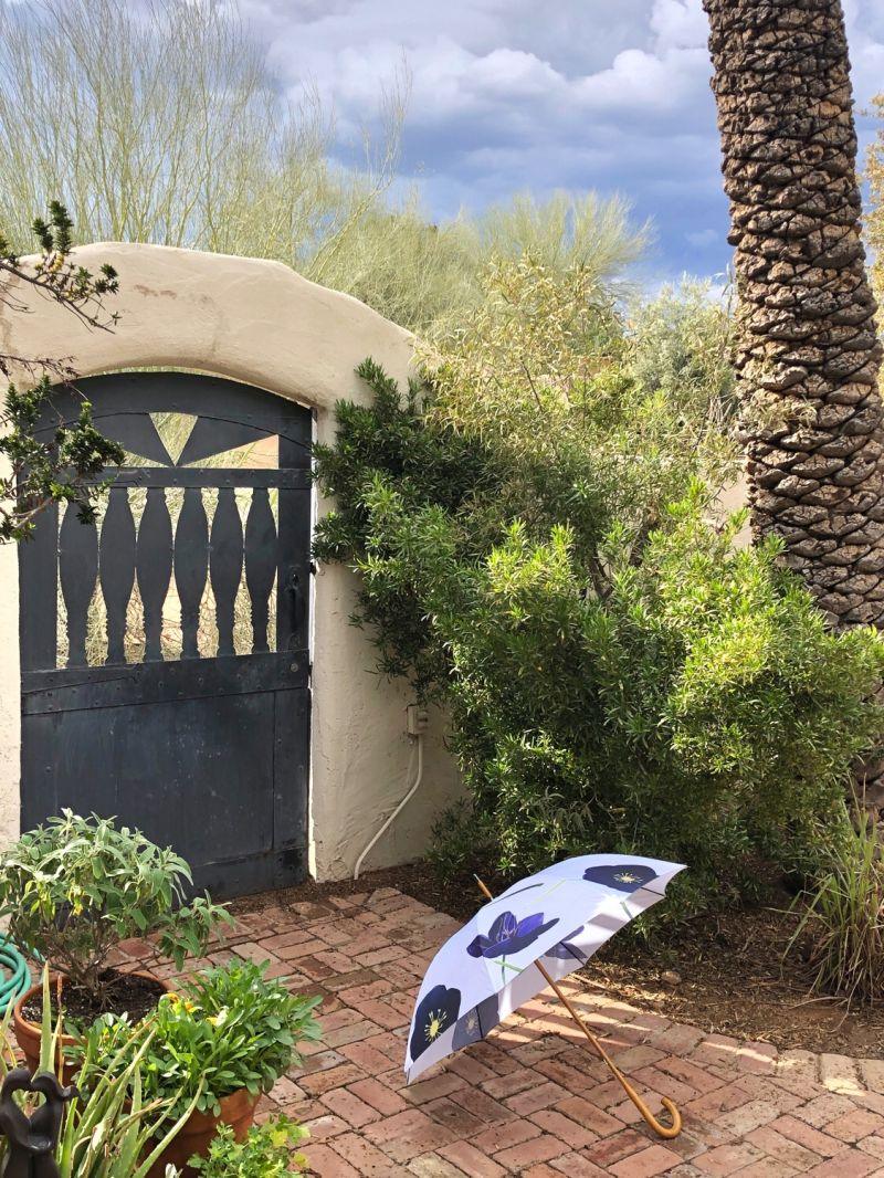 Decorative wrought iron gate in desert garden with brick path, green shrubs, palm tree, and floral umbrella
