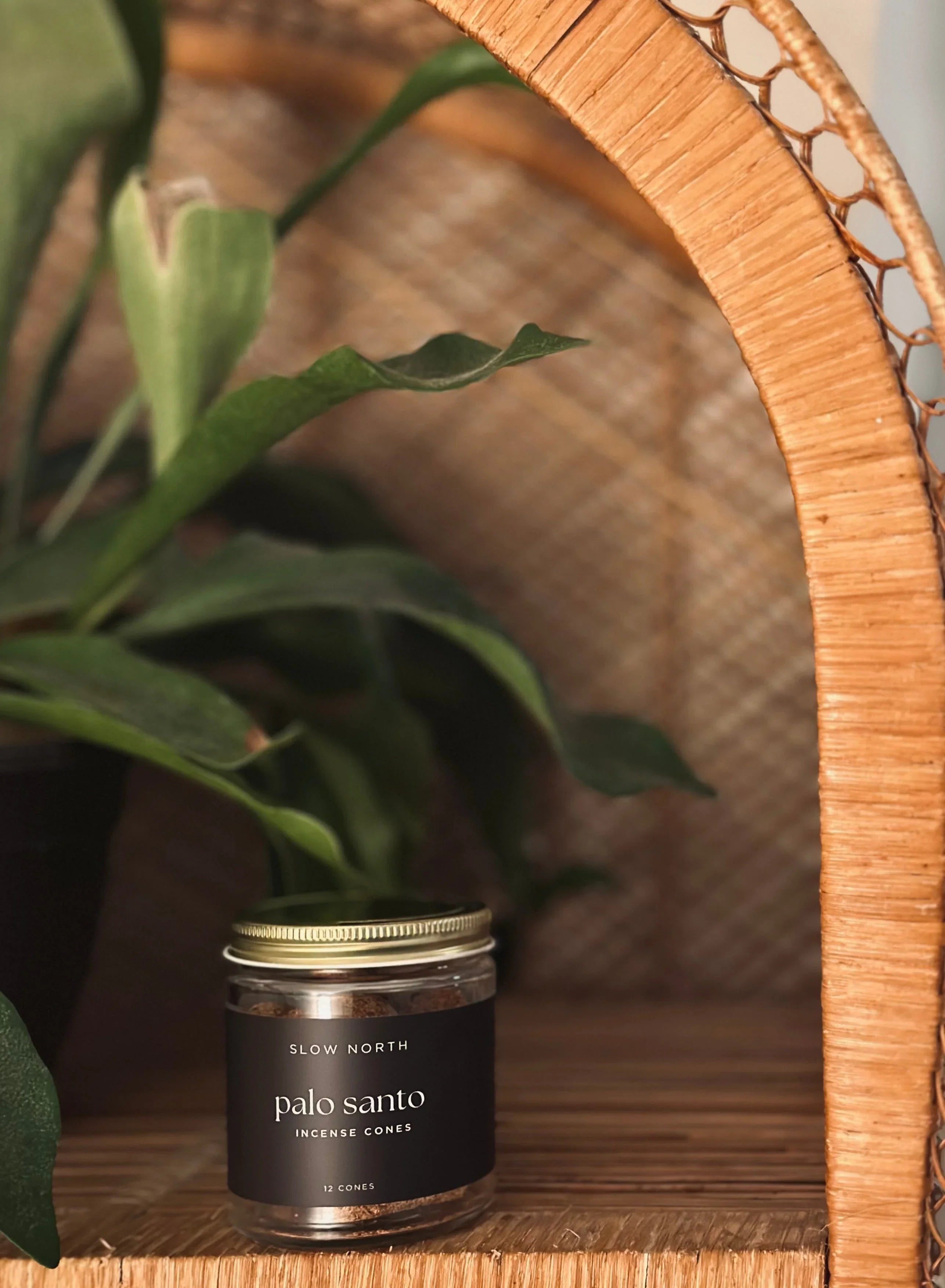 Palo Santo incense cones jar on wicker shelf with leafy green plant, Qu!rk Boutique gift decor