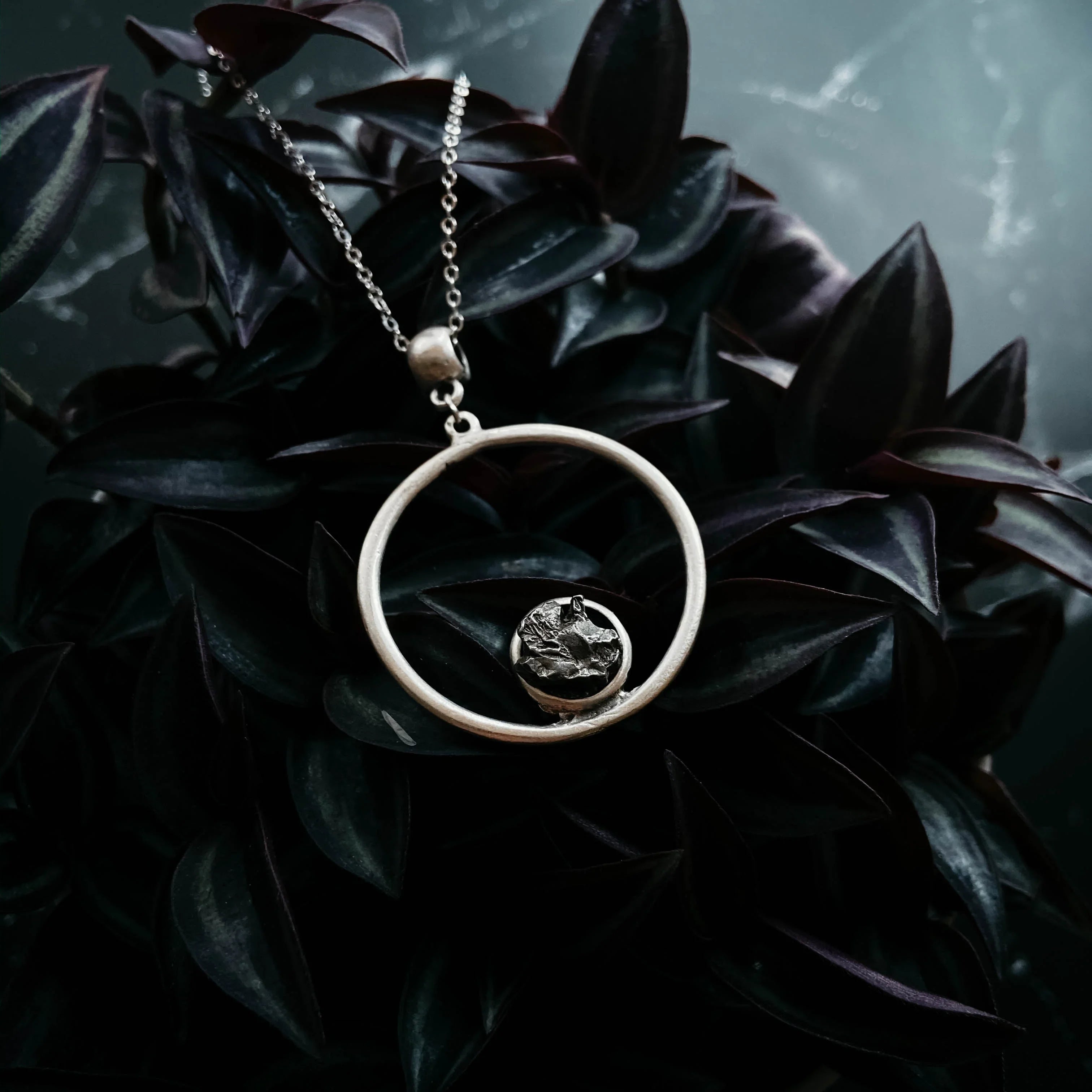 silver circular pendant necklace with textured center on dark leafy plant backdrop