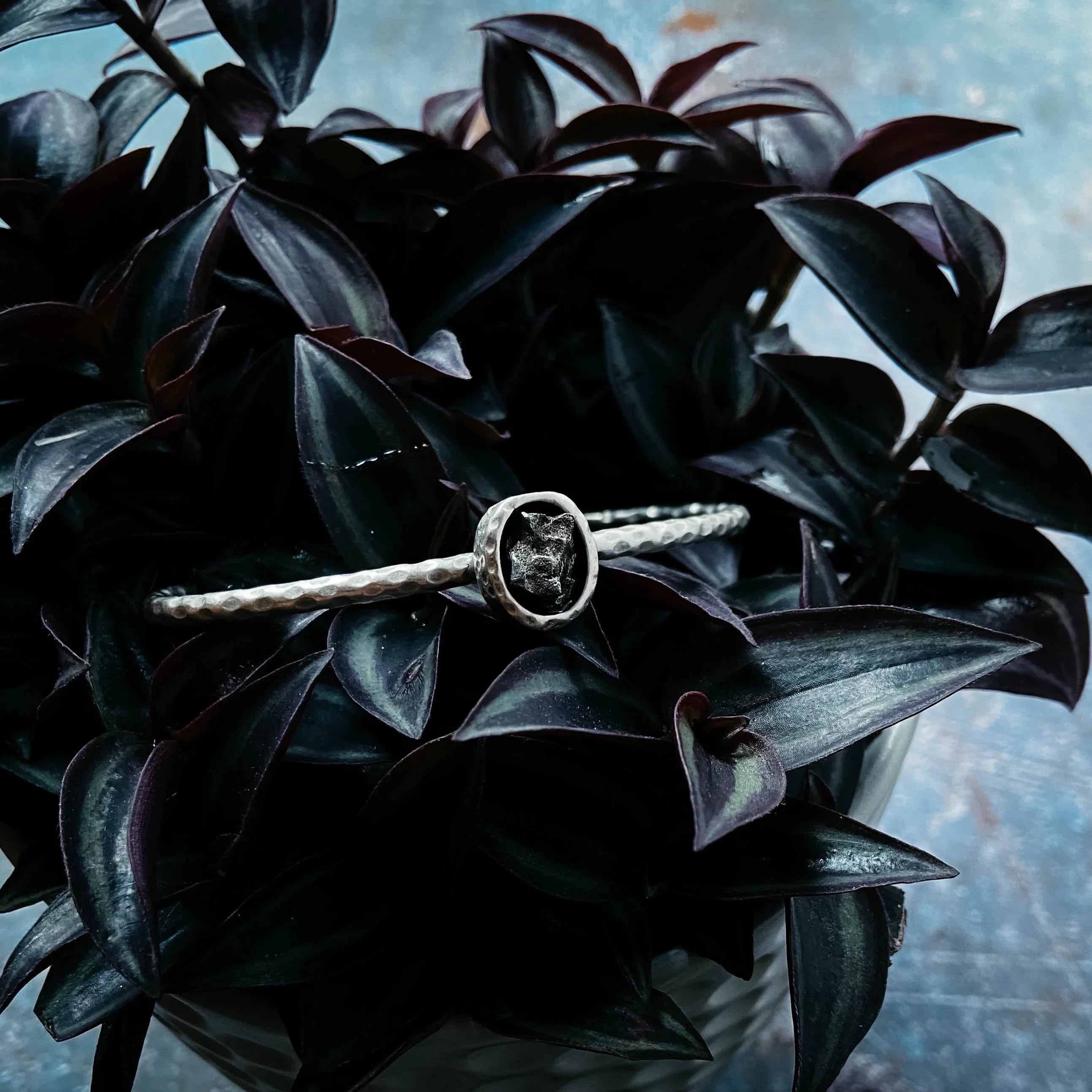 Silver gemstone bangle from Qu!rk Boutique displayed on dark foliage with cosmic elegance