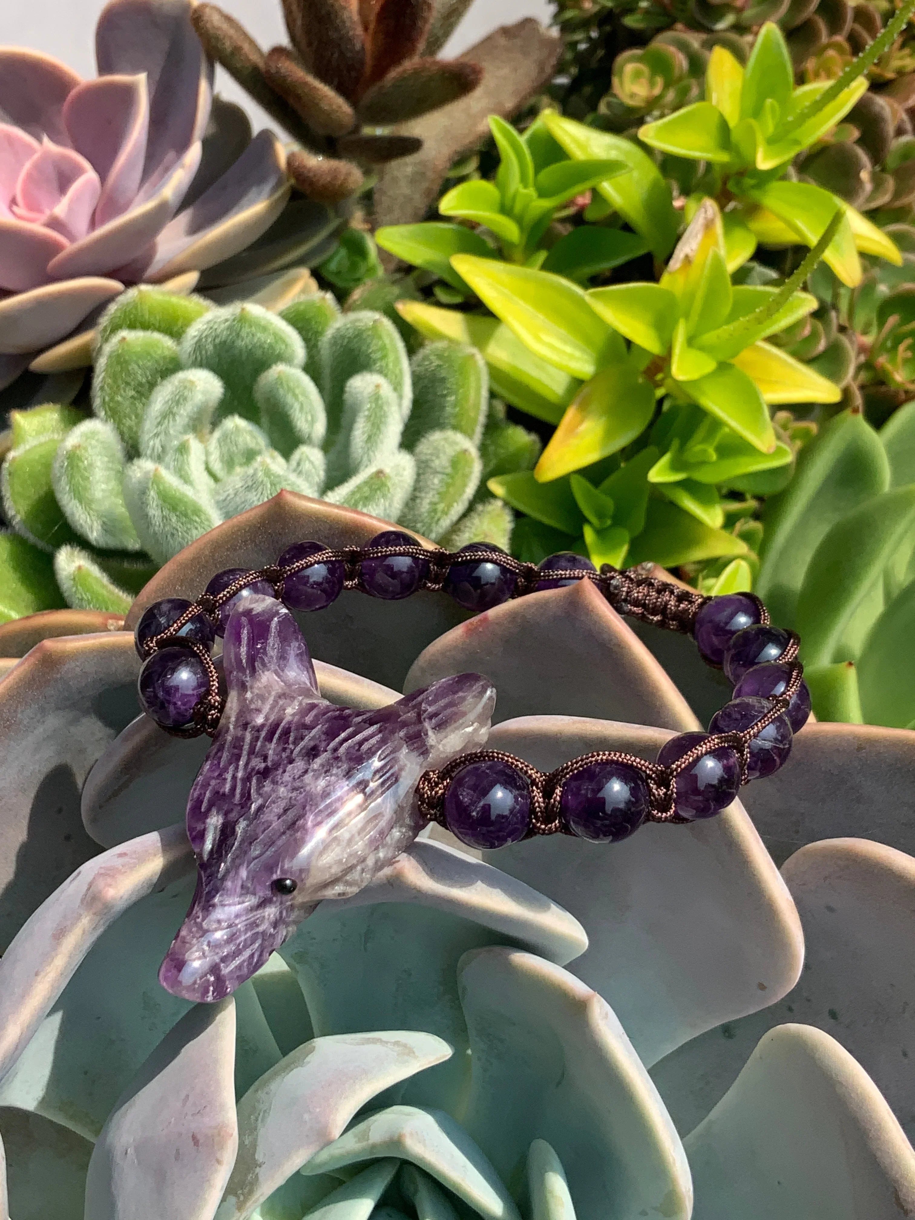 Amethyst wolf bead bracelet from Qu!rk Boutique displayed on colorful succulents