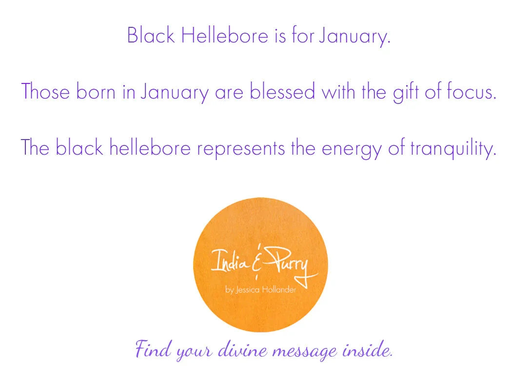 January birth month message with Black Hellebore flower meaning focus and tranquility, India & Purry logo