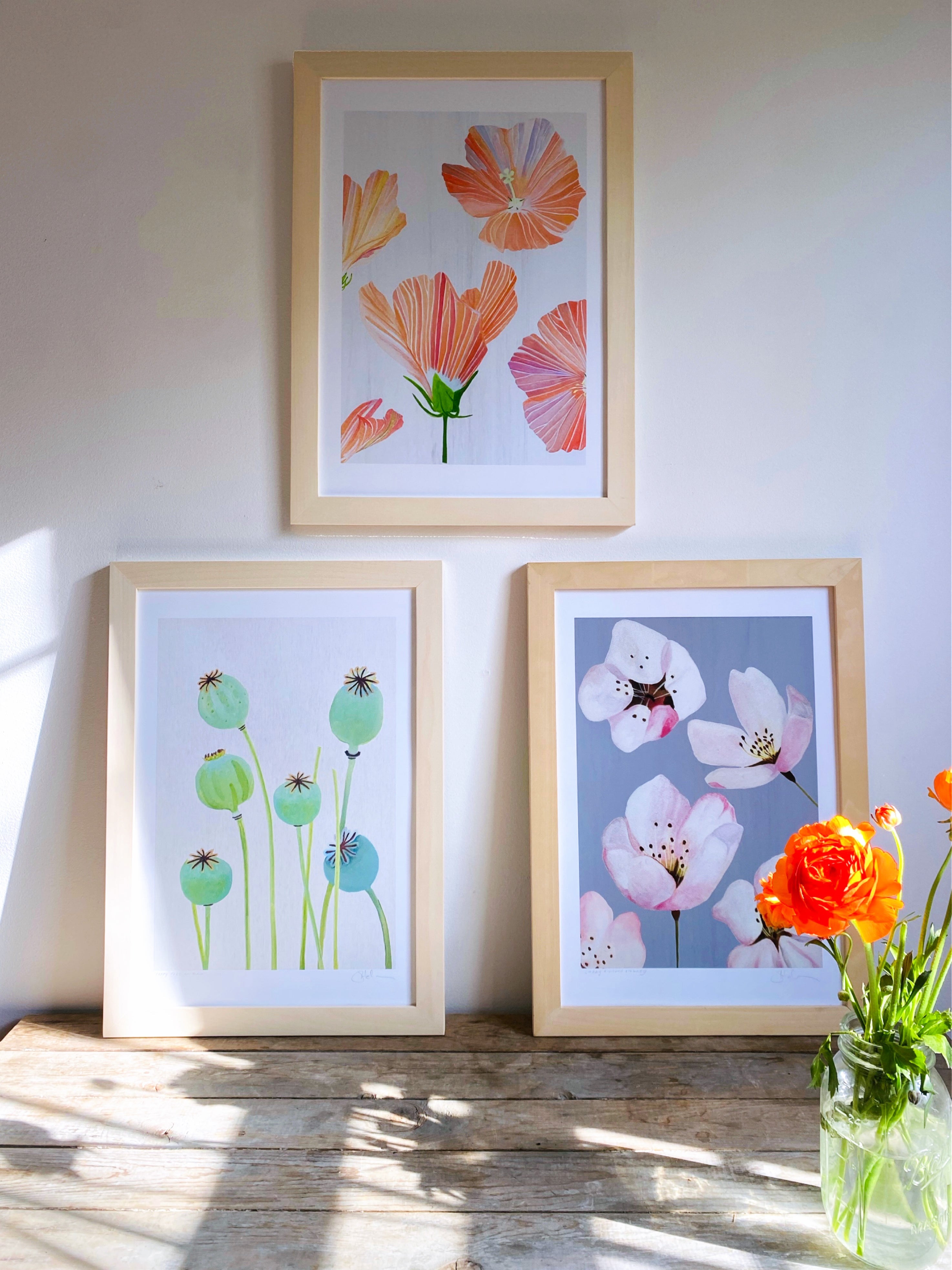 Art Print:  Poppy Pods on Ecru