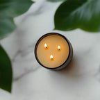 ☼ Eucalyptus + Lavender - Signature 3-Wick Candle - Qu!rk Boutique
