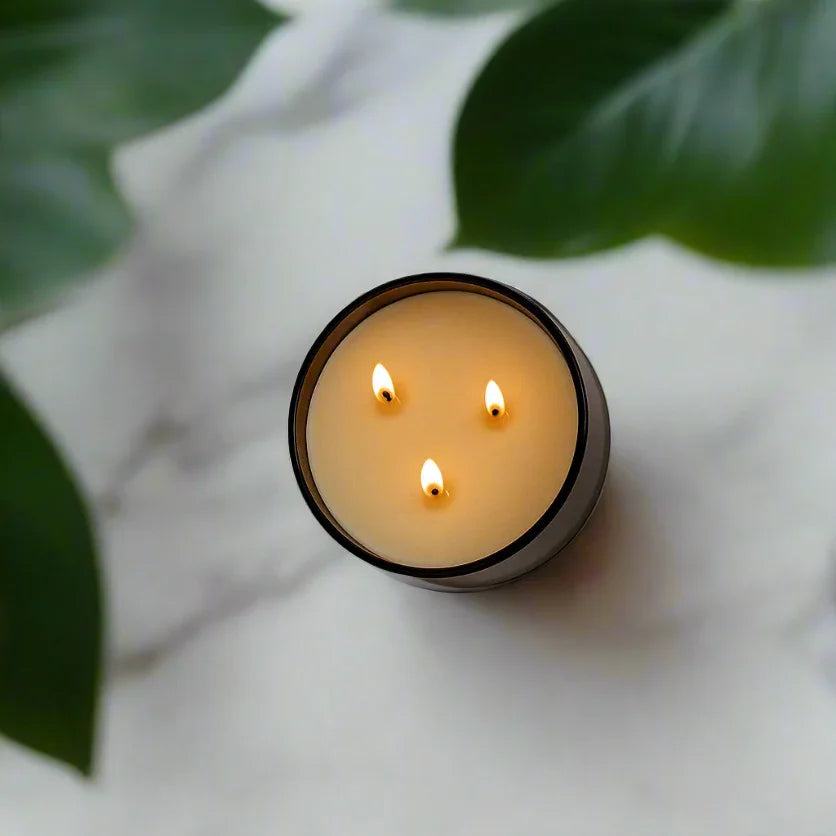 Large three-wick natural candle burning in a dark glass container on white marble with green leaves