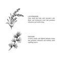 Black and white botanical sketches of lavender and cedar with description of their calming and aromatic benefits