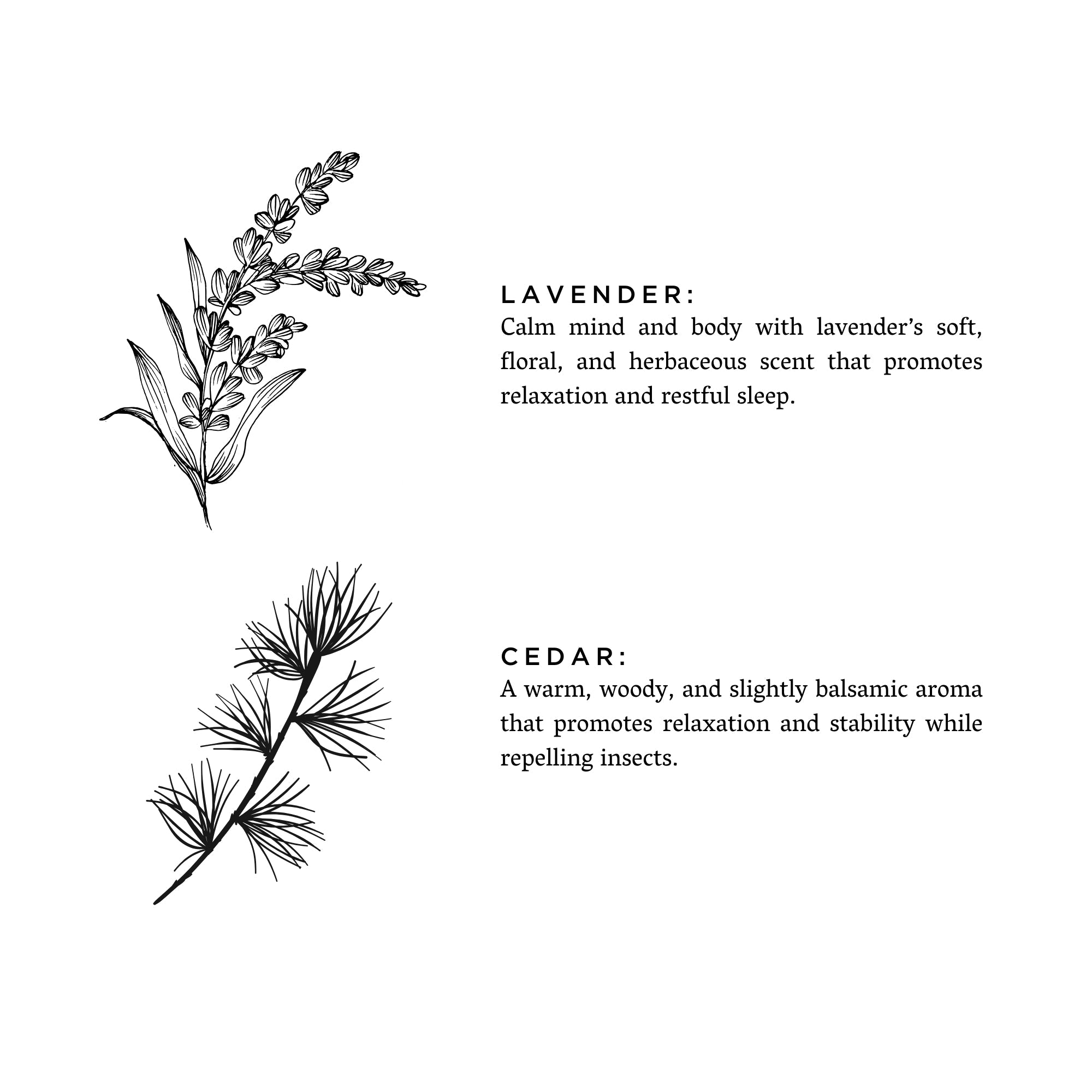 Black line drawings of lavender and cedar branch with descriptions of their relaxing scents and benefits
