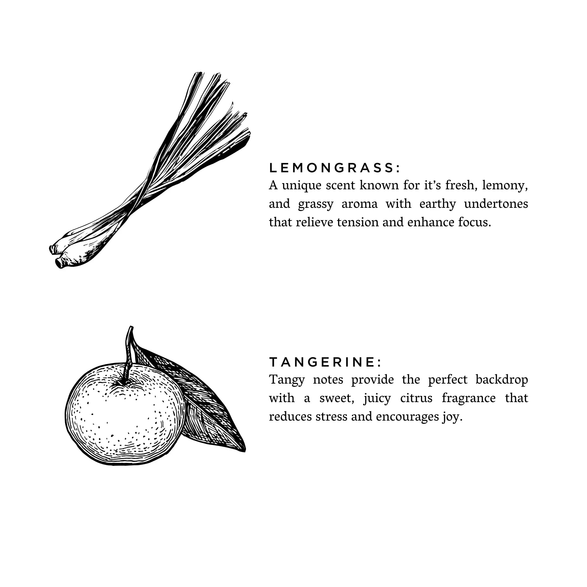 Black and white line drawings of lemongrass and tangerine with text describing their fresh, citrus scents and stress-relief benefits
