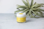 Cheer up Citrus Sunshine Gift Basket & Natural Care Package - Qu!rk Boutique
