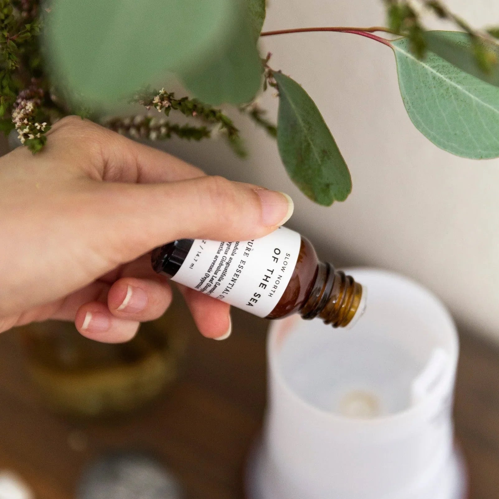 Hand pouring essential oil into diffuser near greenery at Qu!rk Boutique