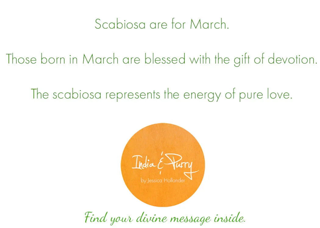 March birth month message with green text about Scabiosa flower representing devotion and pure love