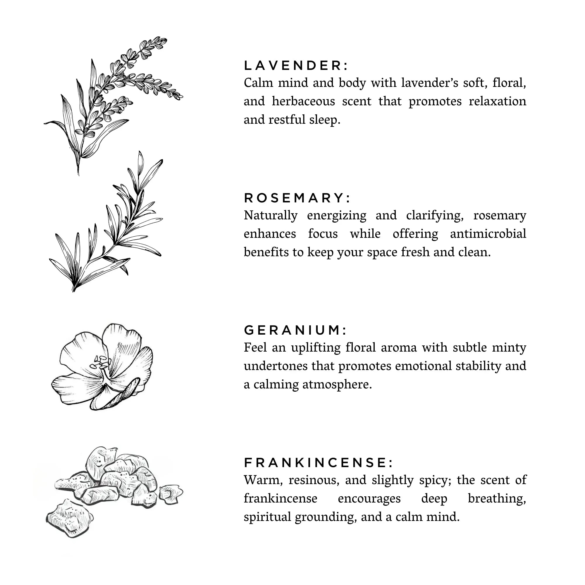 Hand-drawn illustrations of lavender, rosemary, geranium flowers, and frankincense resin with descriptions of their calming and energizing scents