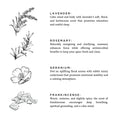 Black and white botanical illustrations of lavender, rosemary, geranium, frankincense with descriptions of their calming and energizing scents