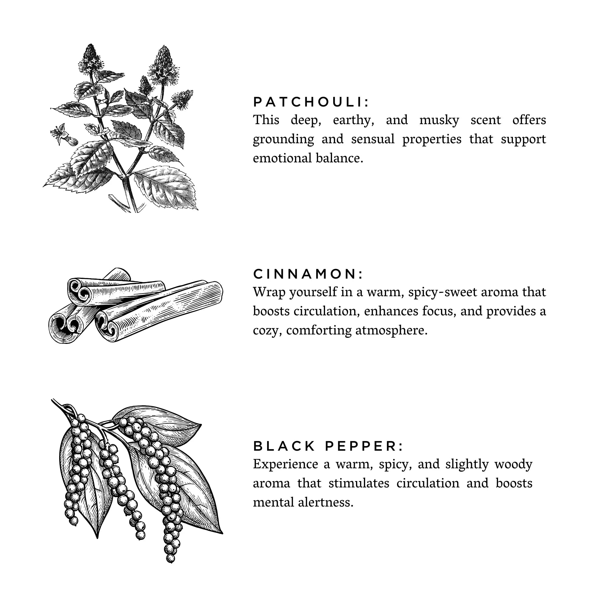 Illustrations of patchouli, cinnamon, and black pepper with descriptions of their grounding and spicy aromas