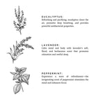 Of The Sea (Eucalyptus + Lavender + Peppermint) - Signature 3-Wick Candle - Qu!rk Boutique