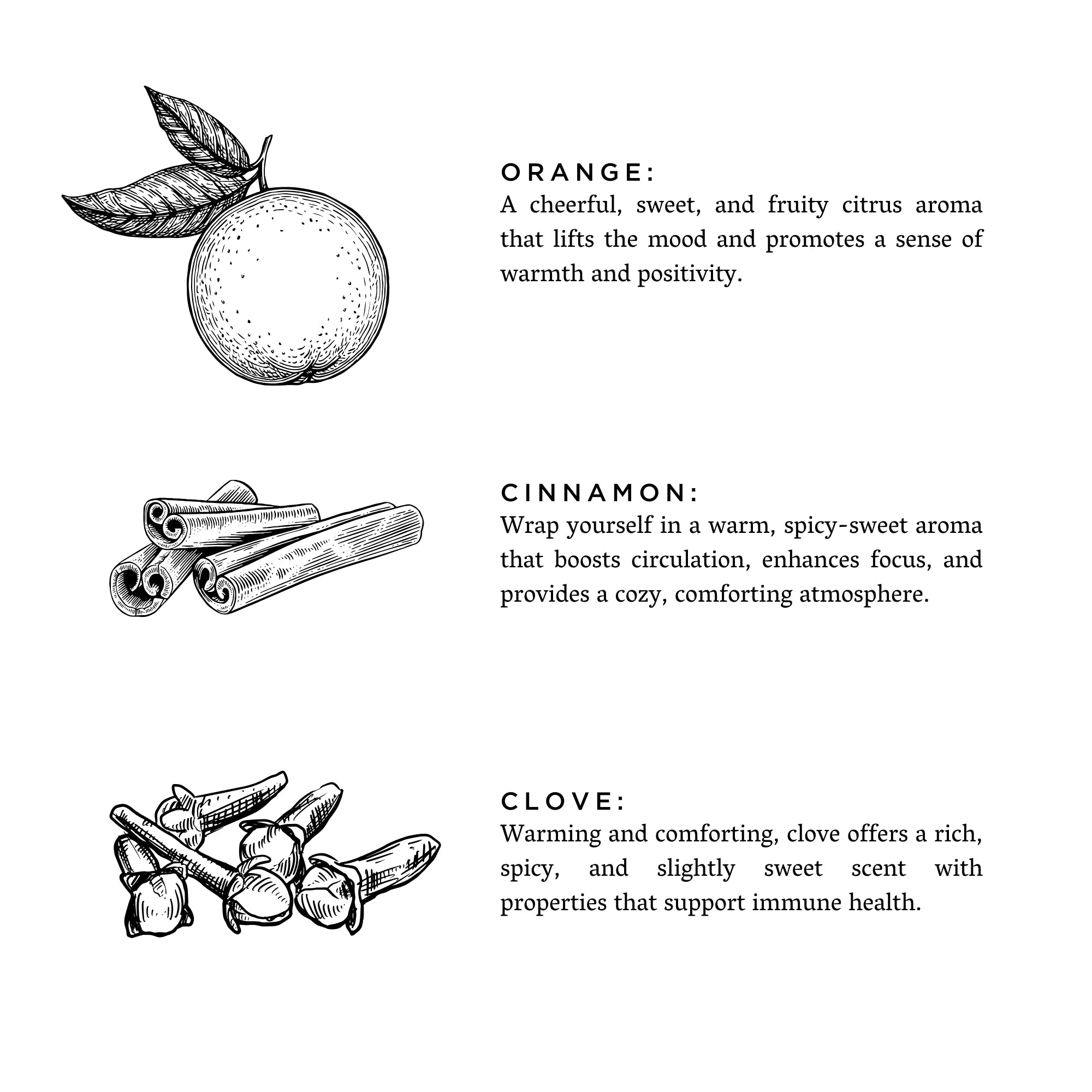 Black and white sketches of an orange, cinnamon sticks, and cloves with descriptions of their aromatic and health benefits