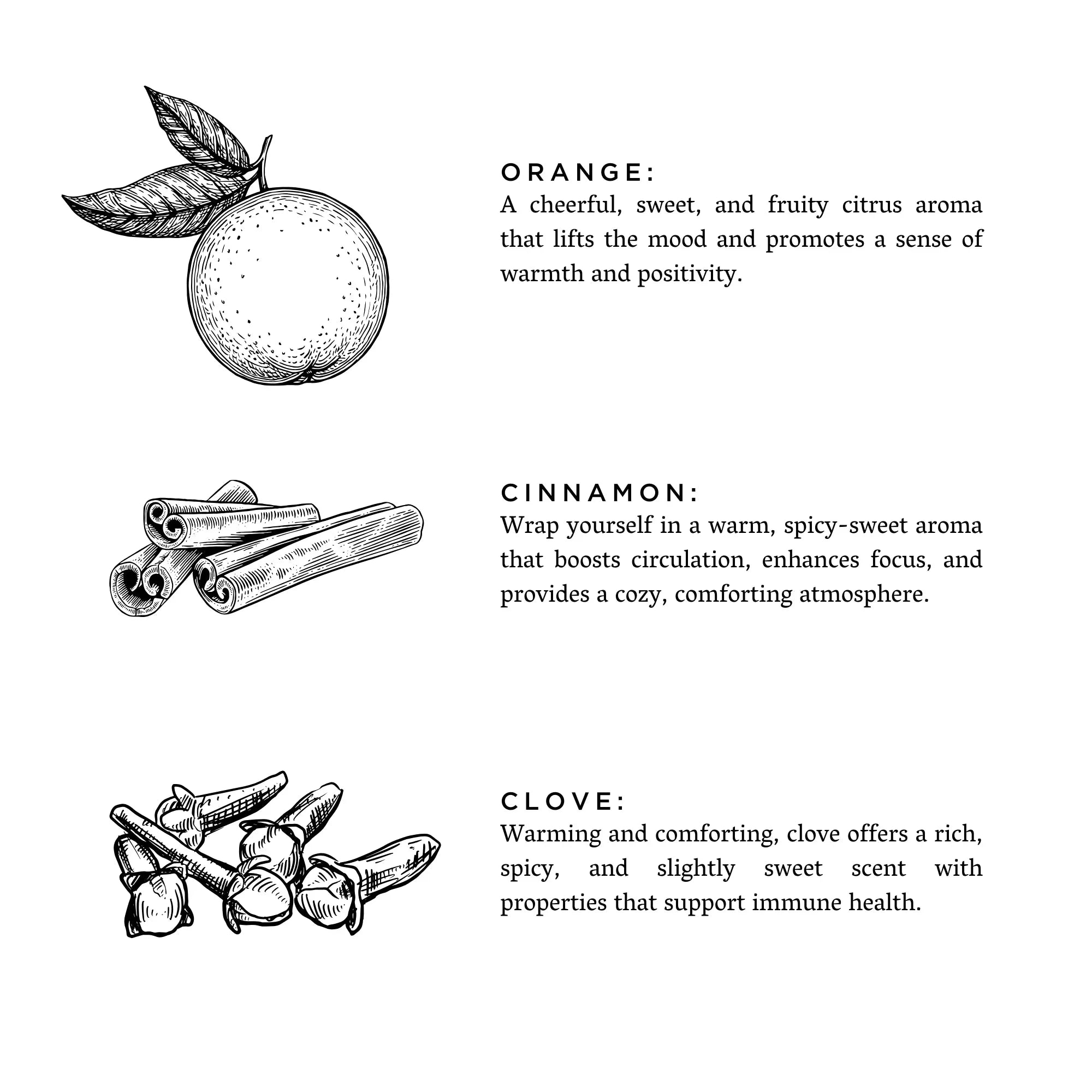 Hand-drawn illustrations of orange, cinnamon sticks, and cloves with descriptions of their aromas and benefits