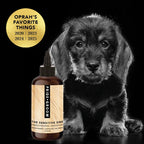 THE SENSITIVE ONE - Qu!rk Boutique